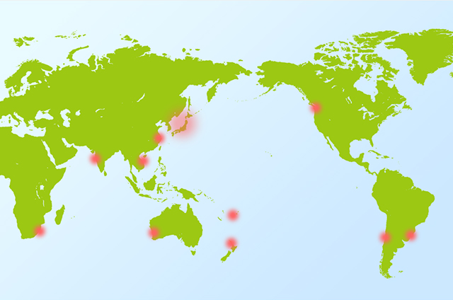 Service Routes